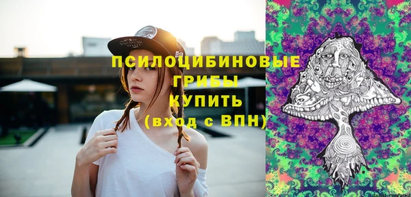 a pvp Алексин